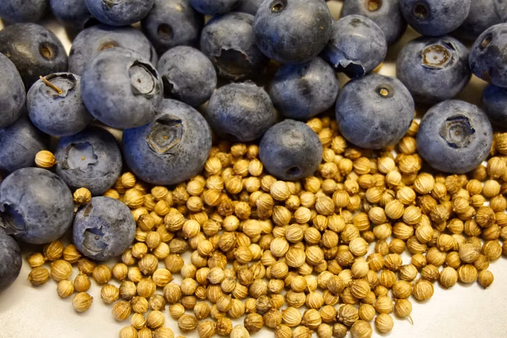 blaubeeren-und-koriander-ergaenzen-sich-wegen-ihrer-laura-hintereder--utopia-260805_download Blaubeeren und Koriander ergänzen sich wegen ihrer Inhaltsstoffe perfekt.