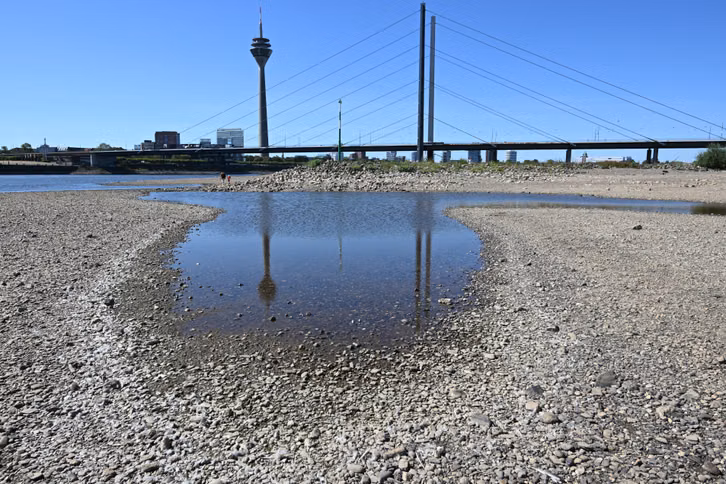 Ein "ganz normaler Sommer"? So sieht Deutschland 2026 im Klimawandel aus Der Rheinturm spiegelt sich bei niedrigem Wasserstand auf dem Rhein in einer Lache.