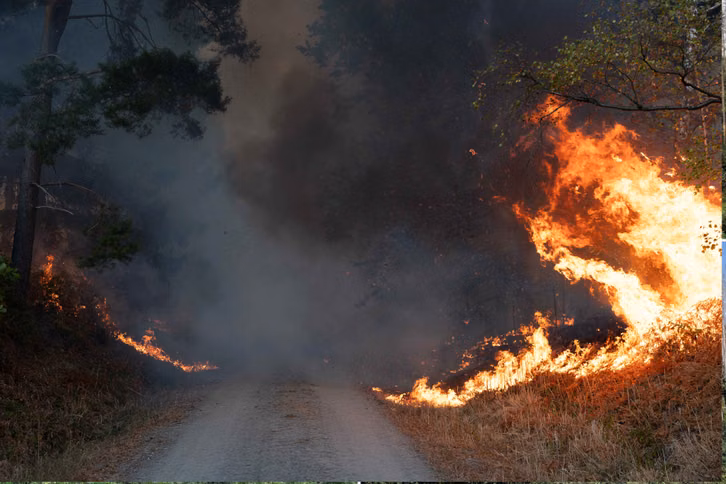 Ein "ganz normaler Sommer"? So sieht Deutschland 2026 im Klimawandel aus Flammen sind am Rand eines Waldwegs im Hürtgenwald zu sehen. Wegen eines Waldbrandes in der Gemeinde Hürtgenwald wird der Ortsteil Gey evakuiert.