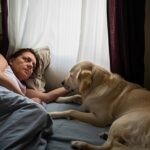 Dormir avec un animal dans la chambre modifie la qualité du sommeil selon une étude