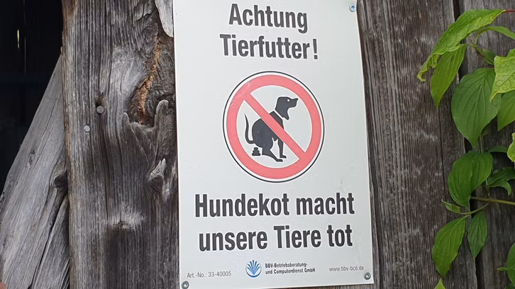 hundekot-einsammeln1-210817-1280x720 Hundekot kann für Kälber gefährlich werden.