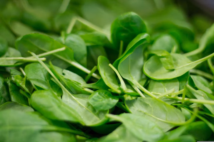 mangold-und-spinat-sind-regionale-gemuesesorten-mit-cc0--pixabay--thilobecker-260907_download Mangold et épinards sont des variétés locales de légumes avec du magnésium.