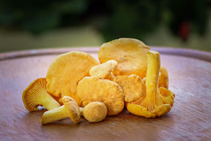 um-den-vitamin-d-gehalt-in-pilzen-zu-steigern-mus-cc0--pixabay--guvo59-261005_download Um den Vitamin-D-Gehalt in Pilzen zu steigern, musst du sie nur für einige Zeit in die Sonne legen.