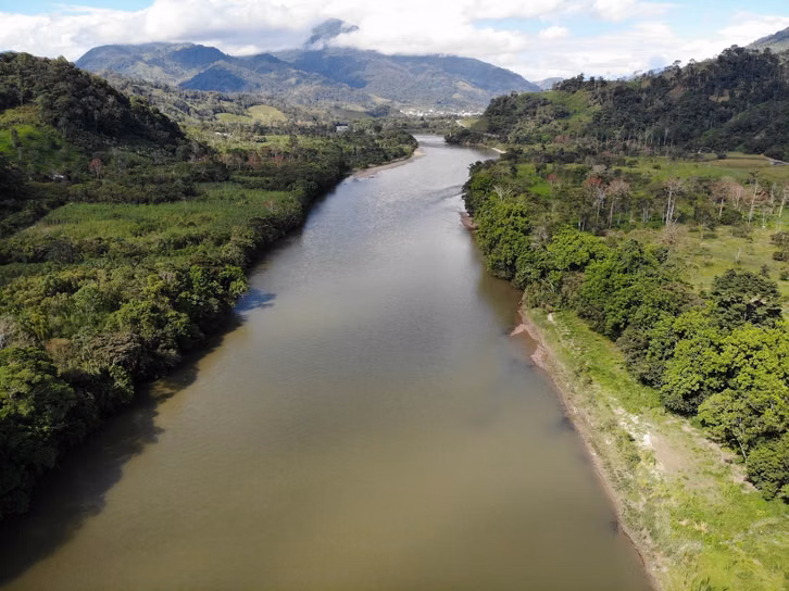 La déforestation menace les incendies de la forêt amazonienne.