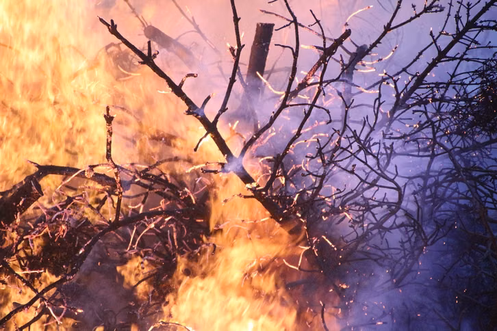 Les feux de forêt importants créent leur propre météo et compliquent ainsi l’intervention