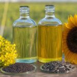 Huile de colza vs huile de tournesol : laquelle est la plus saine selon les diététiciens