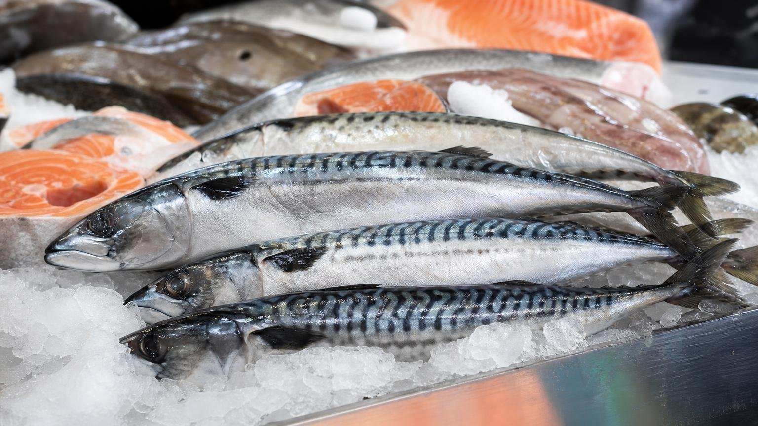 Le meilleur poisson pour la mémoire après 60 ans : les neurologues n’en citent qu’un seul et ce n’est pas le saumon
